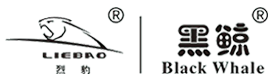 ȹ߅ݔ͎